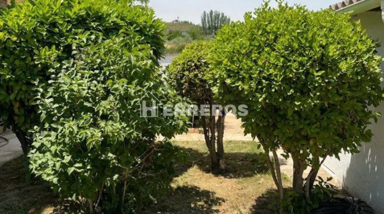 La Rioja - Лардеро - 1000m2