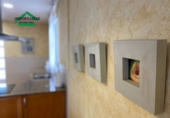 Detached villa with land for rent in Aspe ref: TR393326 photo