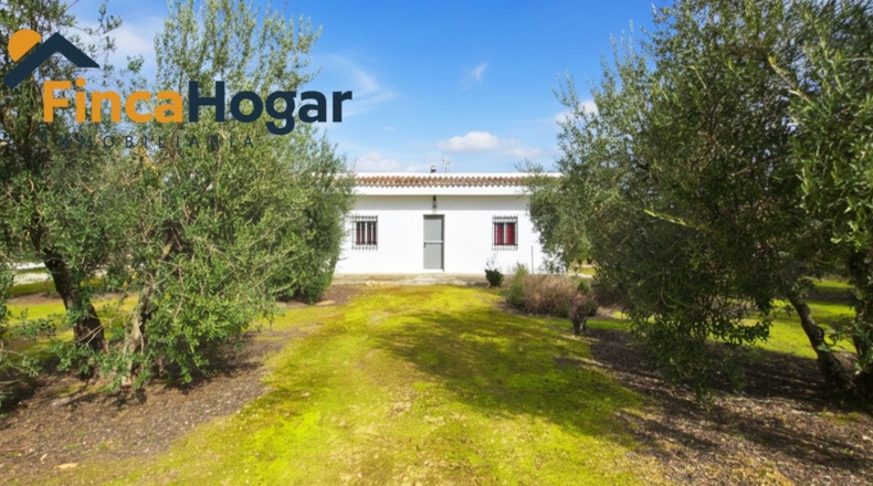 Sevilla - Утрера - 2300m2