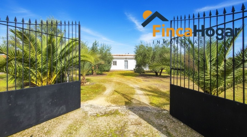 Sevilla - Утрера - 2300m2