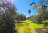 Xalet independent amb terreny en venda a Utrera ref.: TR392871 foto