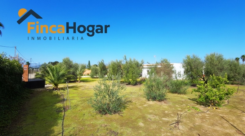 Sevilla - Утрера - 2300m2