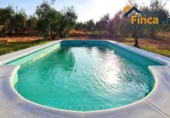 Detached villa with land for sale in Utrera ref: TR393325 photo