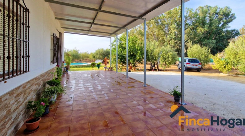 Seville - Arahal - 2570m2