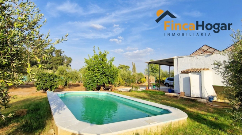 Seville - Arahal - 2570m2