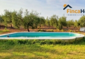 Detached villa with land for sale in Utrera ref: TR393325 photo