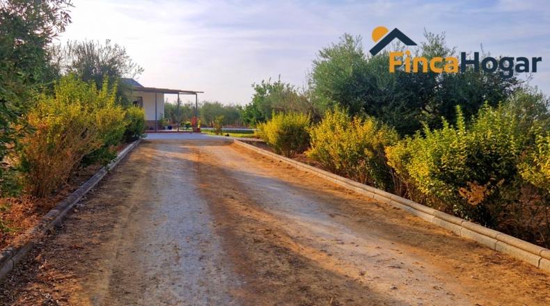 Seville - Arahal - 2570m2