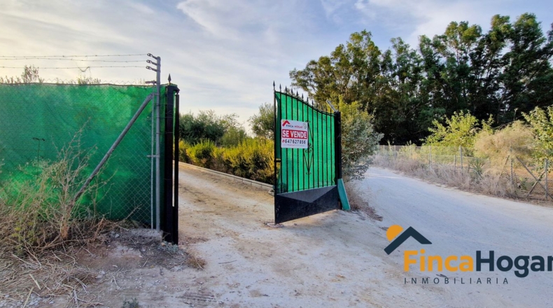 Seville - Arahal - 2570m2