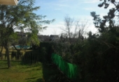 Chalet independiente con terreno en alquiler en Mairena del Aljarafe ref: TR393927 foto