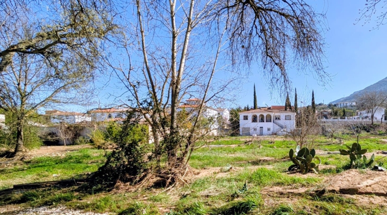 Granada - Loja - 2407m2