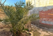 Casa de pueblo en venta en Almoradí ref: TR393309 foto