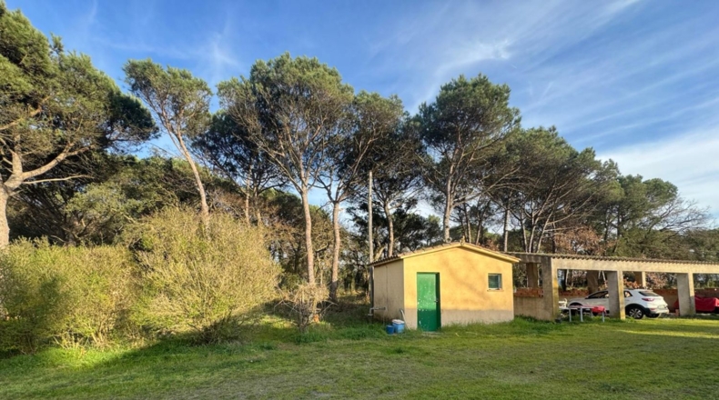 Girona - Llagostera - 18000m2