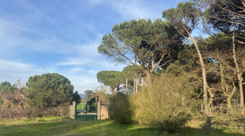 Girona - Llagostera - 18000m2