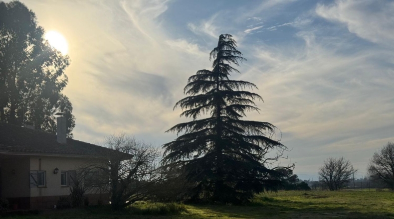 Girona - Llagostera - 18000m2