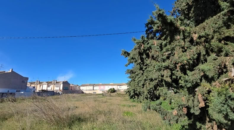 Murcia - Сан-Педро-дель-Пинатар - 2938m2