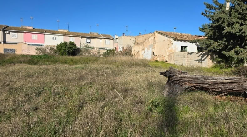 Murcia - Сан-Педро-дель-Пинатар - 2938m2