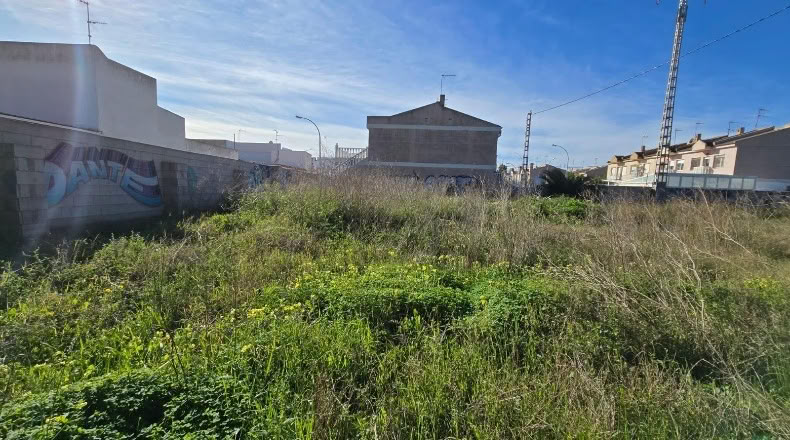 Murcia - Сан-Педро-дель-Пинатар - 2938m2