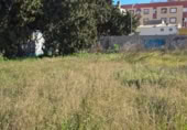 Sòl urbà en venda a la Calle Valladolid, San Pedro del Pinatar, ref.: TR393302 foto