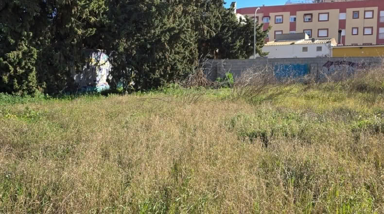 Murcia - Сан-Педро-дель-Пинатар - 2938m2