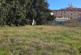 Foto 19
