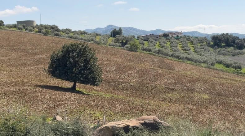 Málaga - Álora - 1600000m2