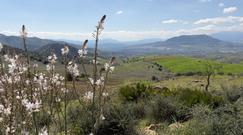 Málaga - Álora - 1600000m2