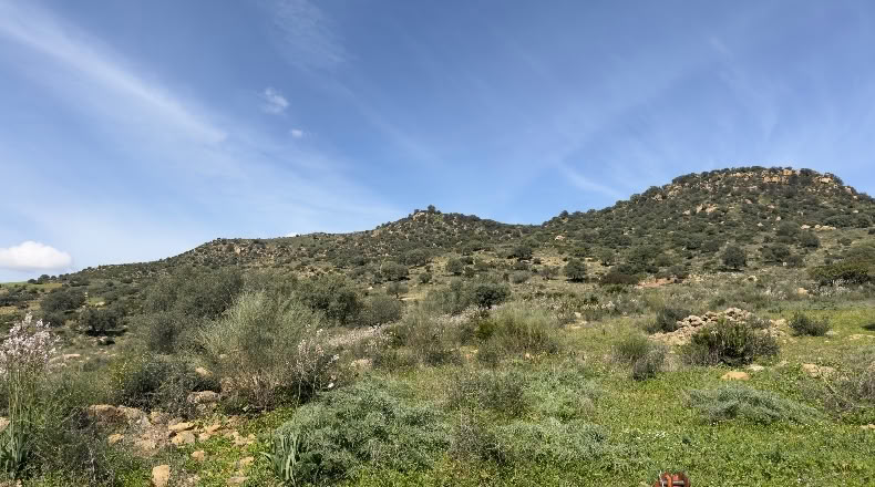 Málaga - Álora - 1600000m2