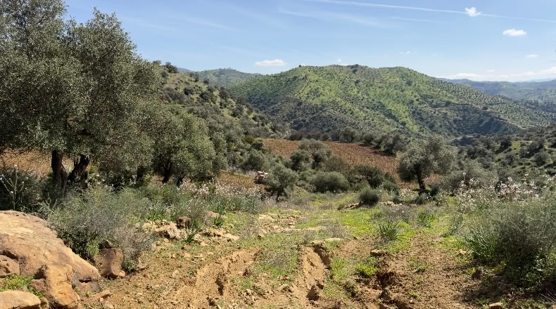 Málaga - Álora - 1600000m2