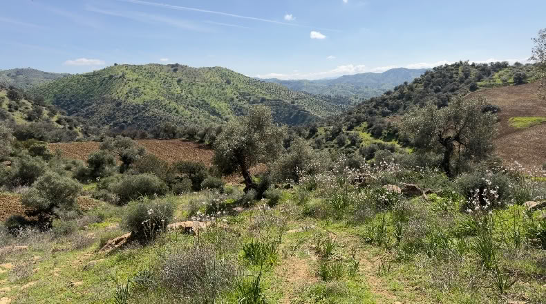 Málaga - Álora - 1600000m2