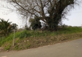 Sòl urbà en venda a la España, Vioño de Piélagos, ref.: TR393447 foto
