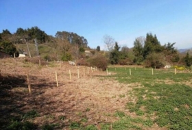 Villaviciosa 600&nbsp;m²