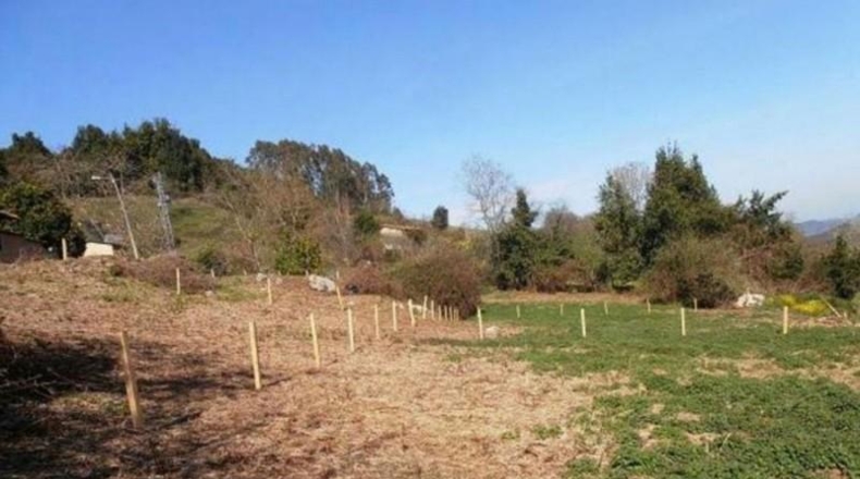 Astúries - Вильявисьоса - 600m2