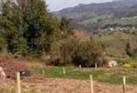 Villaviciosa 600&nbsp;m²