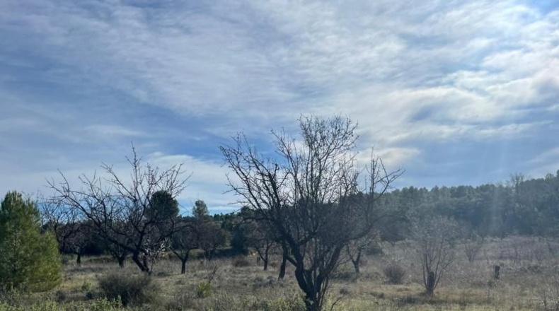 Teruel - Calaceit - 28m2