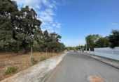 Non-developable land for sale on España, Estación de Obejo, ref: TR393550 photo