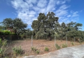 Non-developable land for sale on España, Estación de Obejo, ref: TR393550 photo