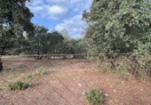 Non-developable land for sale on España, Estación de Obejo, ref: TR393550 photo