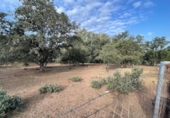 Non-developable land for sale on España, Estación de Obejo, ref: TR393550 photo