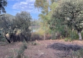 Non-developable land for sale on España, Estación de Obejo, ref: TR393550 photo