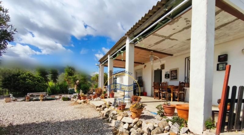 Valencia - Ayelo de Malferit - 2416m2