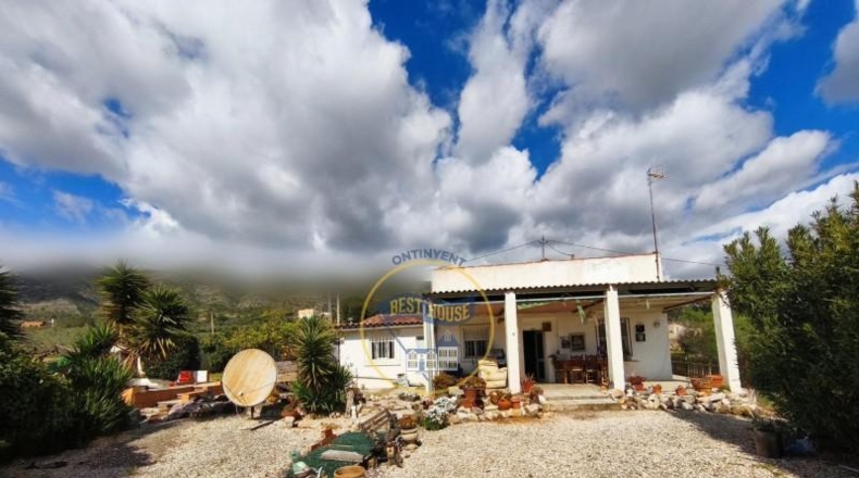 Valencia - Ayelo de Malferit - 2416m2