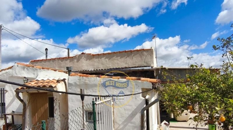 Valencia - Ayelo de Malferit - 2416m2