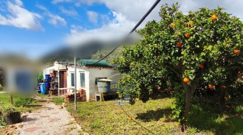 Valencia - Ayelo de Malferit - 2416m2