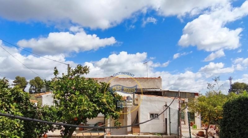 Valencia - Ayelo de Malferit - 2416m2