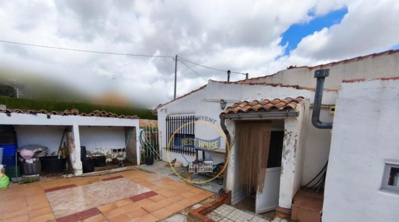 Valencia - Ayelo de Malferit - 2416m2