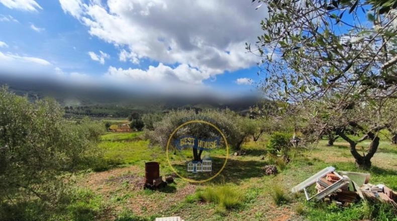 Valencia - Ayelo de Malferit - 2416m2