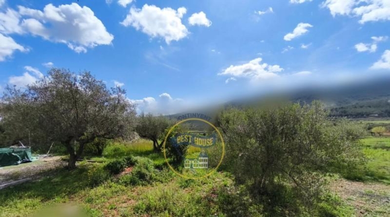 Valencia - Ayelo de Malferit - 2416m2