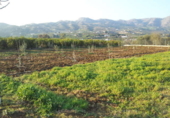 Xalet independent amb terreny en venda a la España, Álora, ref.: TR393410 foto