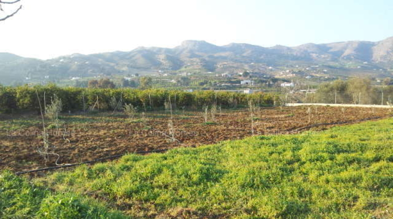 Málaga - Álora - 5500m2