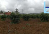 Xalet independent amb terreny en venda a la España, Álora, ref.: TR393410 foto
